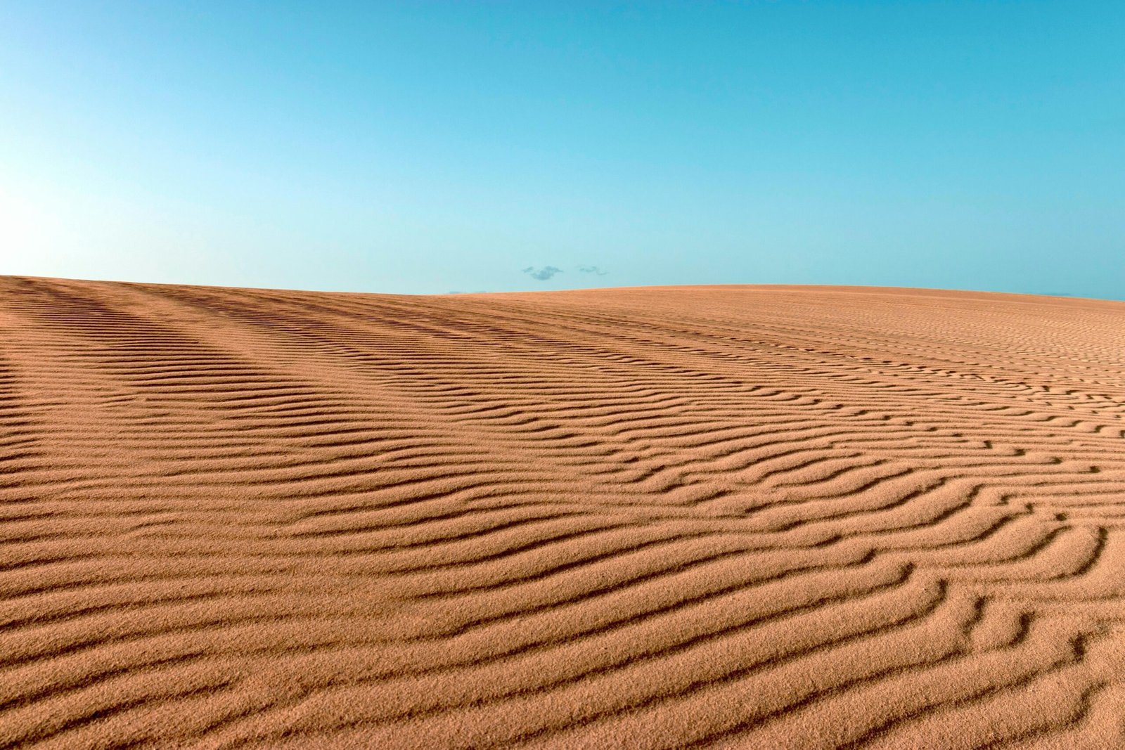 Il Deserto di Fuerteventura